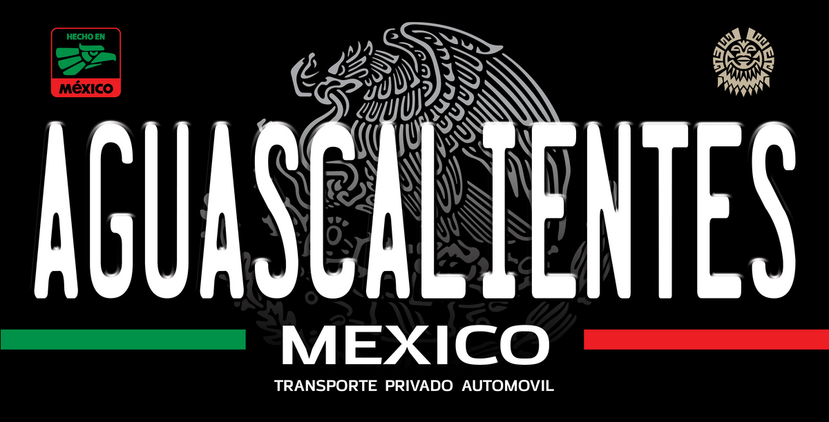 Mexico State Novelty License Plate – 12" × 6" Aluminum