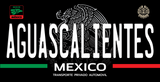 Mexico State Novelty License Plate – 12" × 6" Aluminum