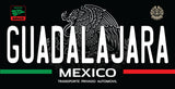 Mexico State Novelty License Plate – 12" × 6" Aluminum