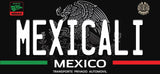 Mexico State Novelty License Plate – 12" × 6" Aluminum