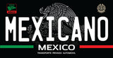 Mexican State License Plate