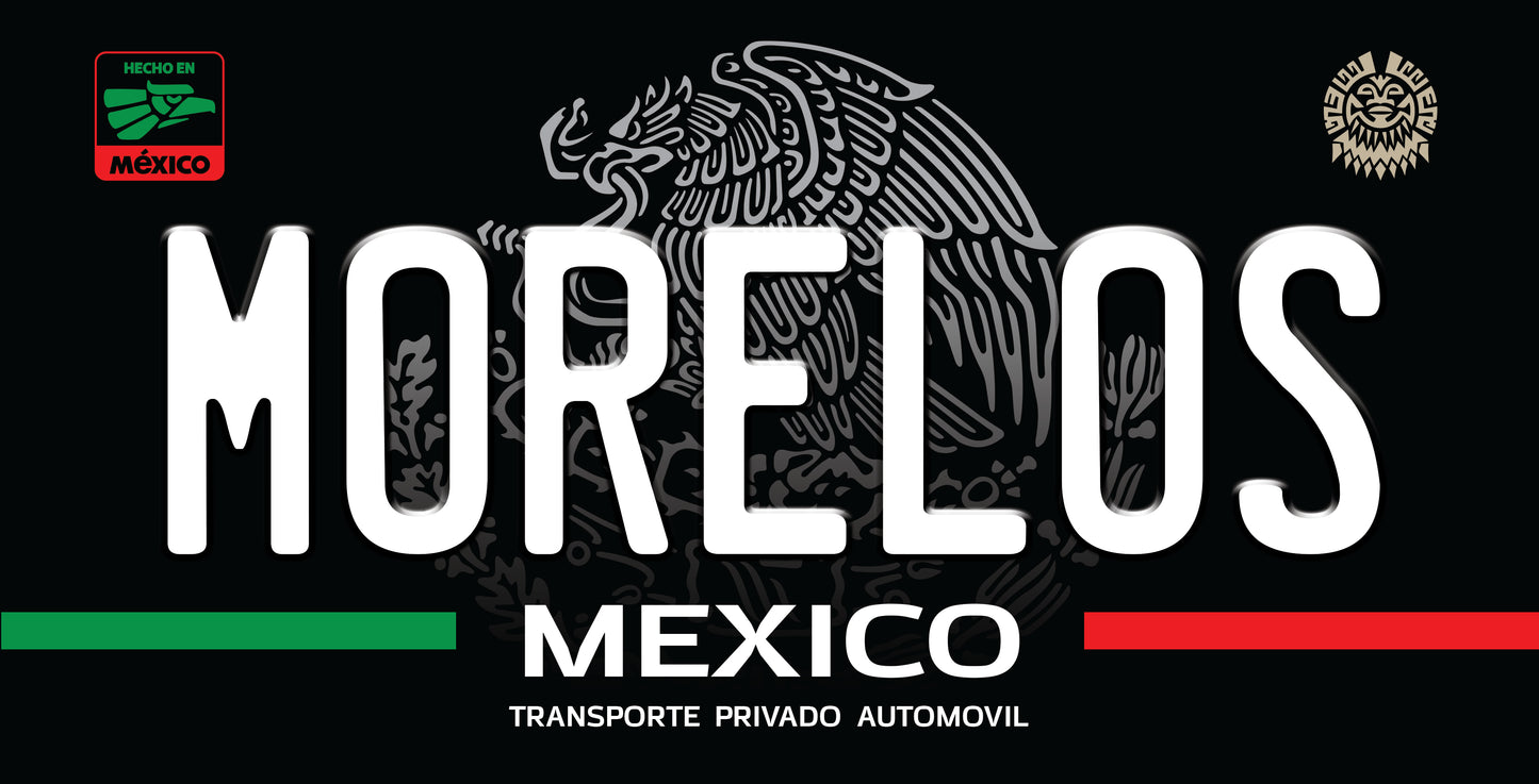 Mexican State License Plate