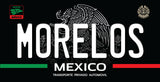 Mexican State License Plate