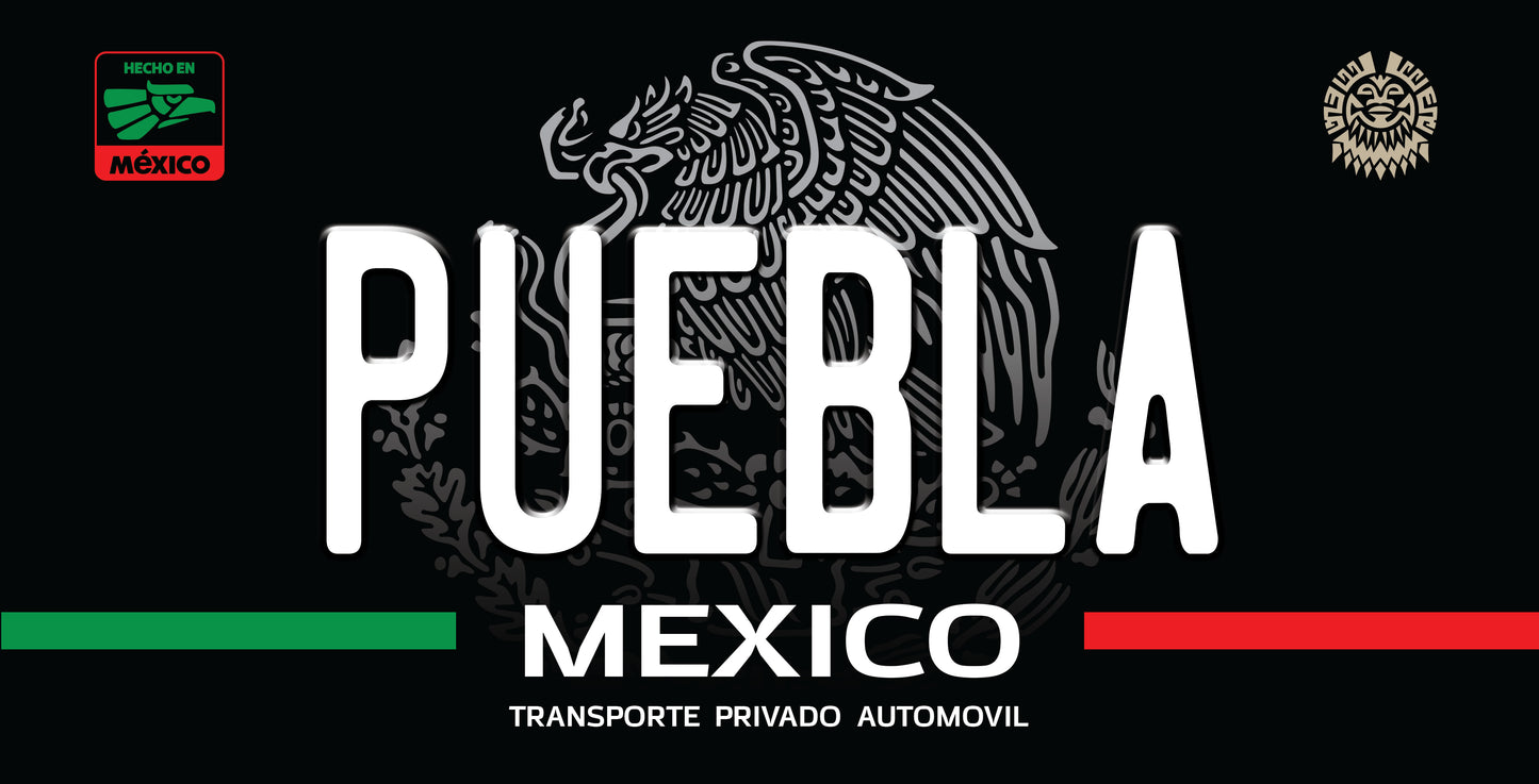 Mexican State License Plate
