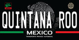 Mexican State License Plate